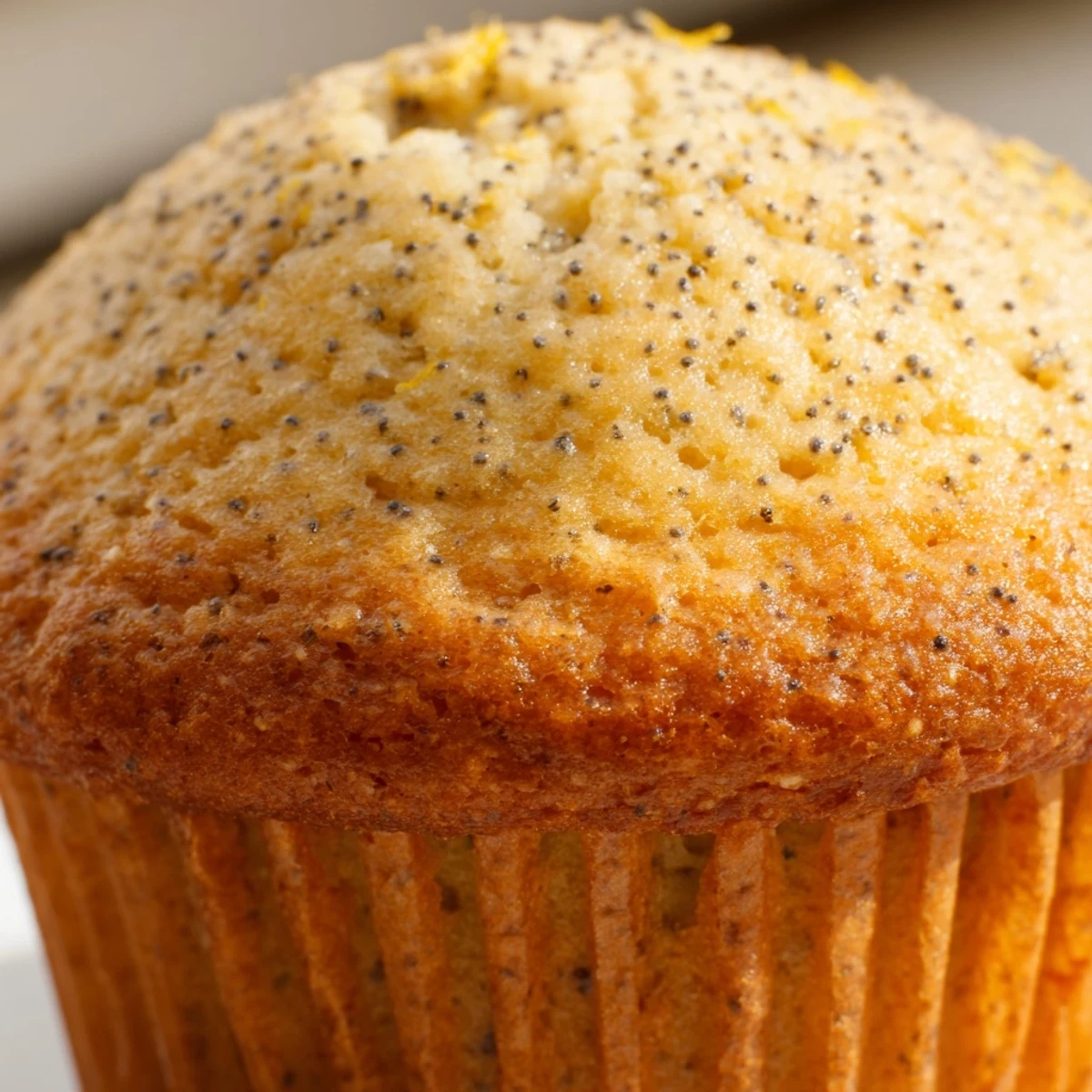 Golden lemon poppy seed muffins with domed tops fresh from the oven on a wire cooling rack